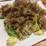 肉チャー(カレー風味の肉炒飯)